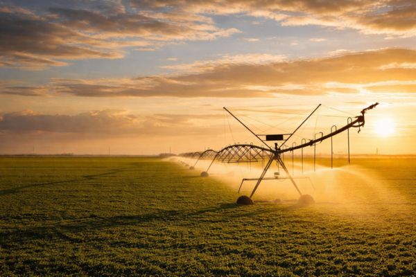 Bombas Submersas Leão