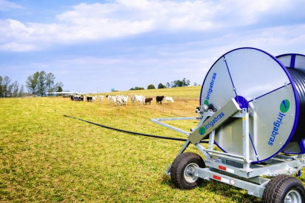 Bombas Submersas Leão